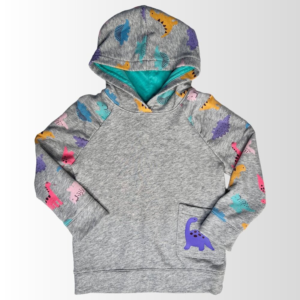 Dinosaur Hoodie Girls Size 4t